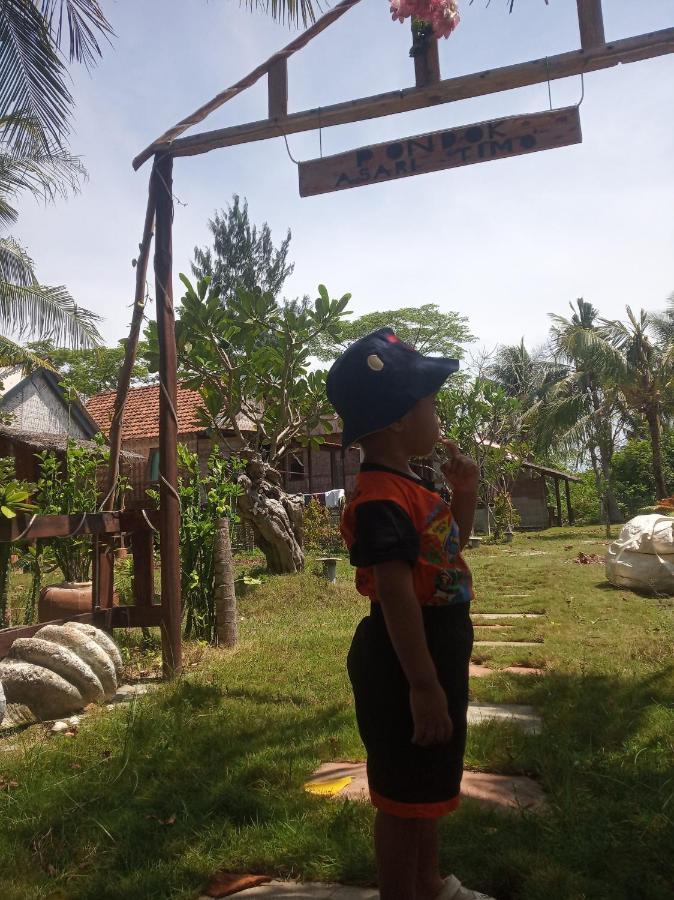 Asari Timo Cottage Îles Îles Karimunjawa Extérieur photo