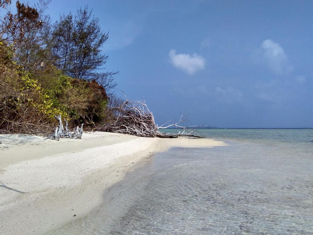 Asari Timo Cottage Îles Îles Karimunjawa Extérieur photo